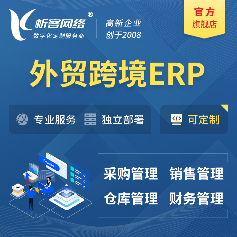 大兴安岭外贸跨境ERP软件生产海外仓ERP管理系统